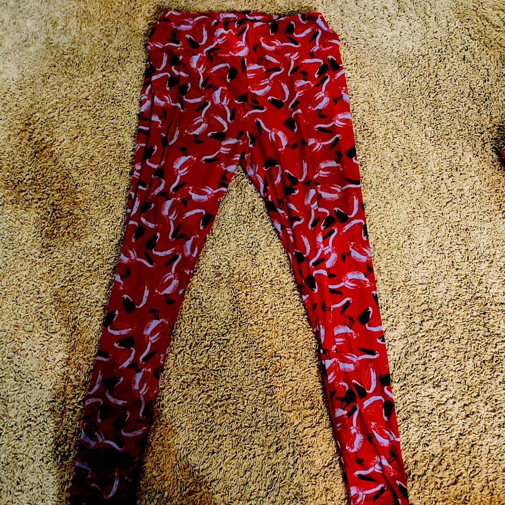 Women’s tall and curvy pelican leggings